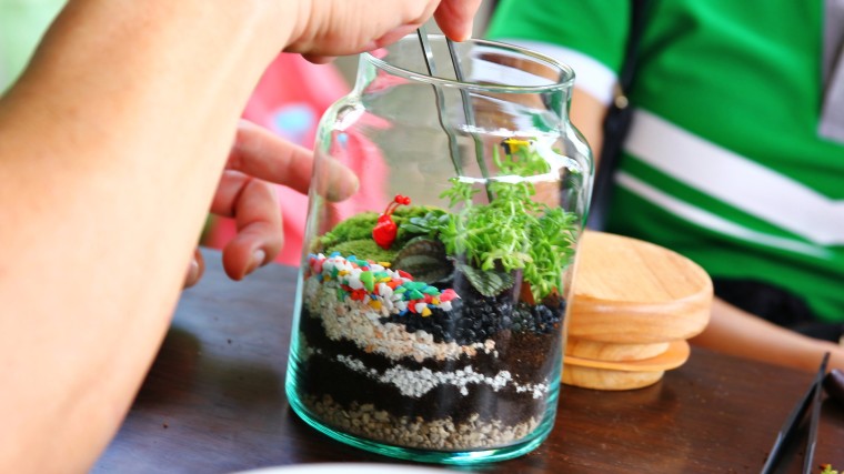 a glass terrarium